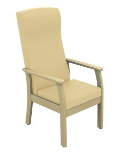 ﻿﻿﻿﻿Atlas Patient High-Back Arm Chair - (Anti-bacterial Vinyl)